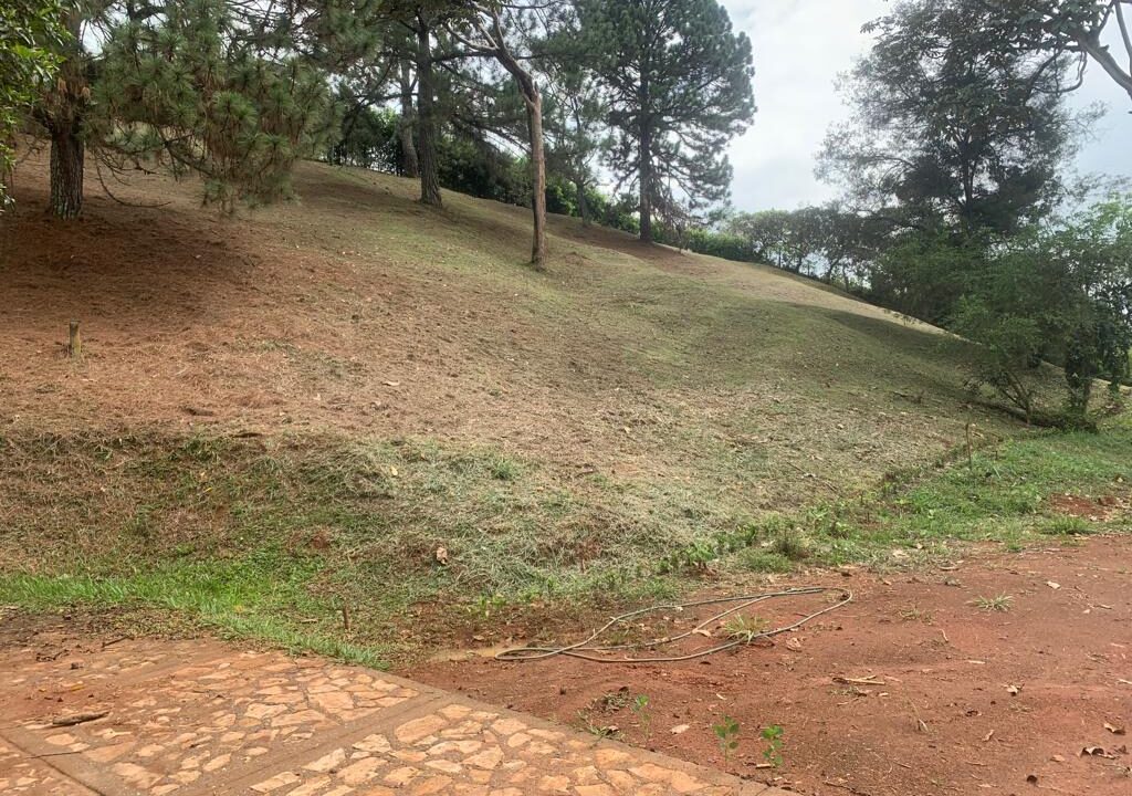 d827011e-97a6-4255-8467-6774df15f8f4