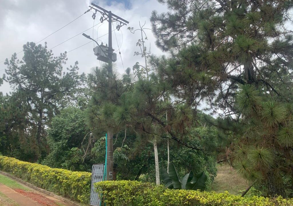 eee716f9-a1fb-44c0-8096-bfa0fe45cab1