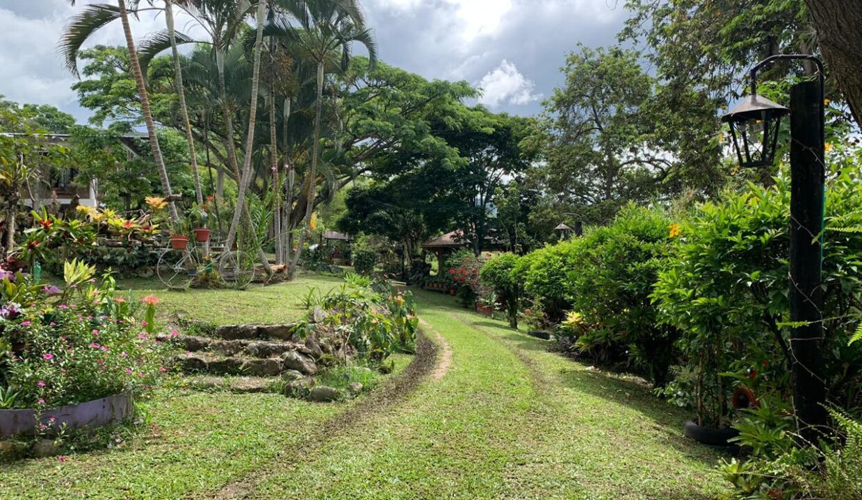 225d72f1-69a1-41d3-af11-8c161e82233d