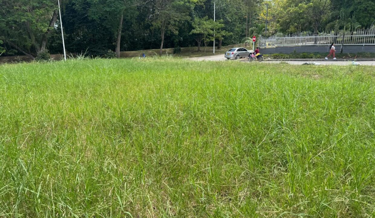 307ee8f6-ff11-42bc-a4f6-e77610e61957