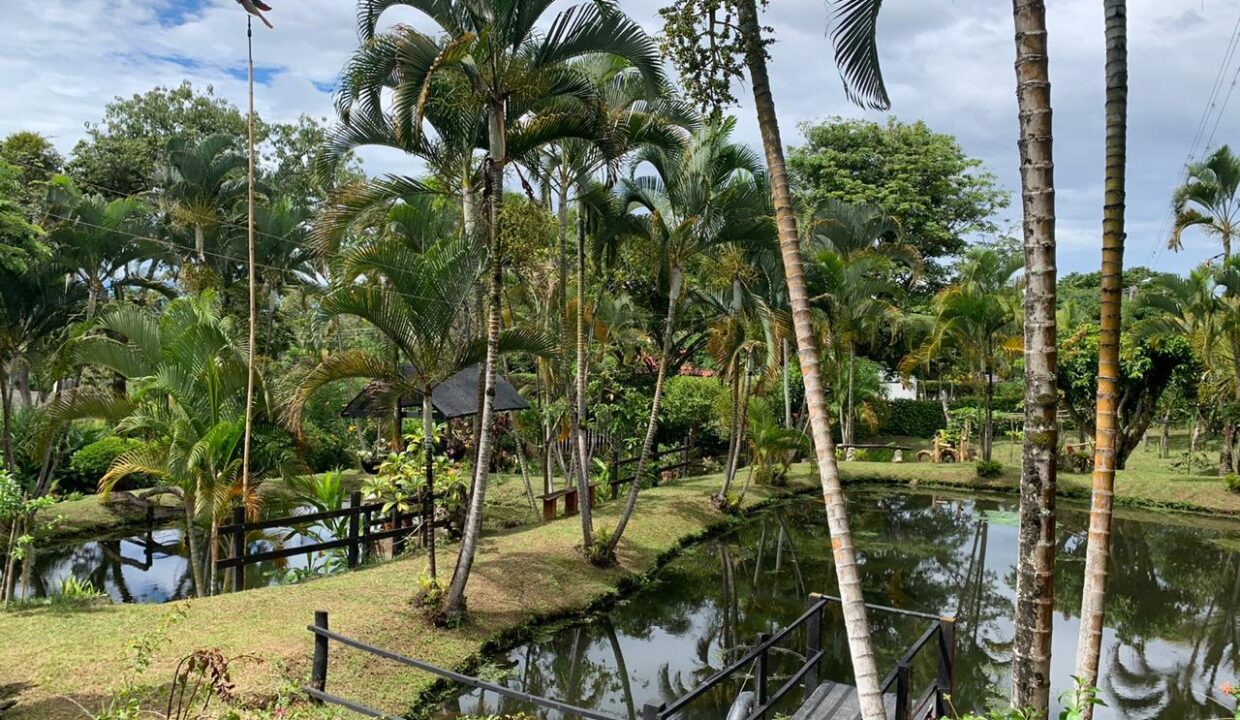 4fd53f92-bdb4-4af0-ae29-6265b891c164