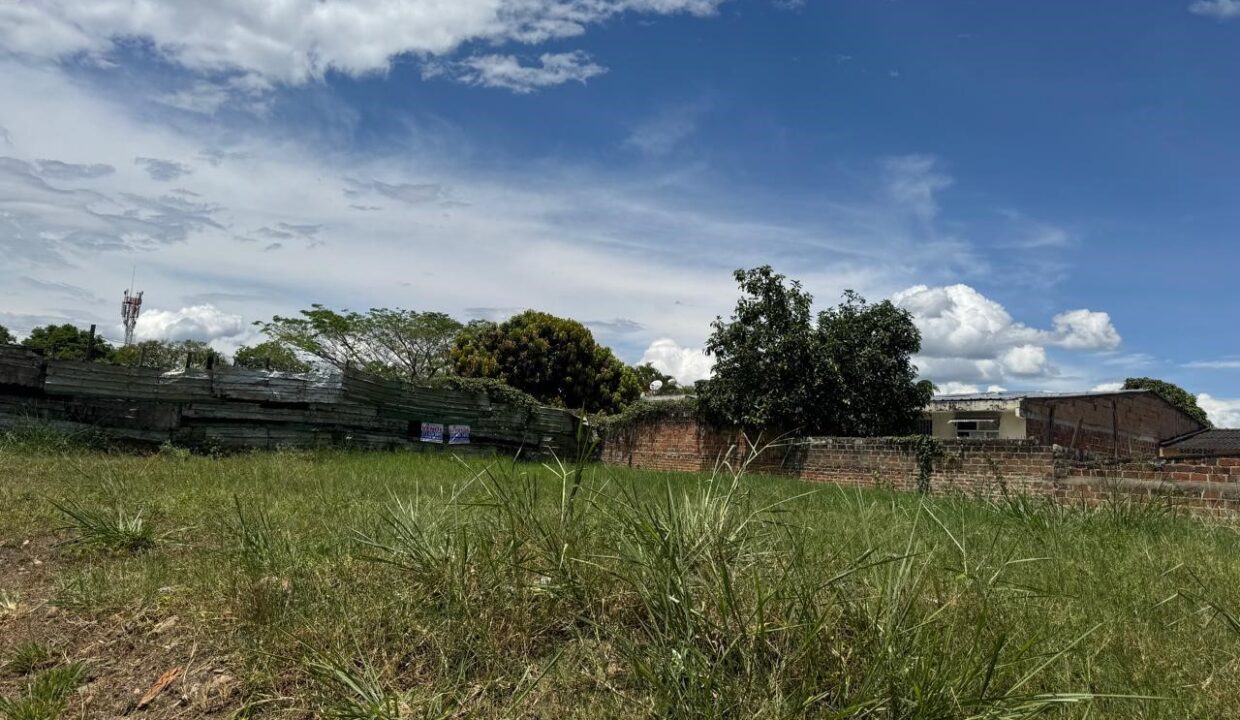 716cc117-a29b-4c47-a837-281f0af71c70