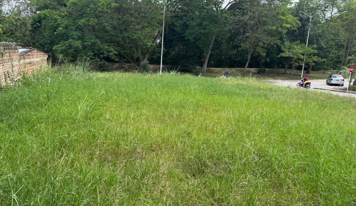 8ec4a80b-fae6-4db7-89f6-e5bd97bb122a