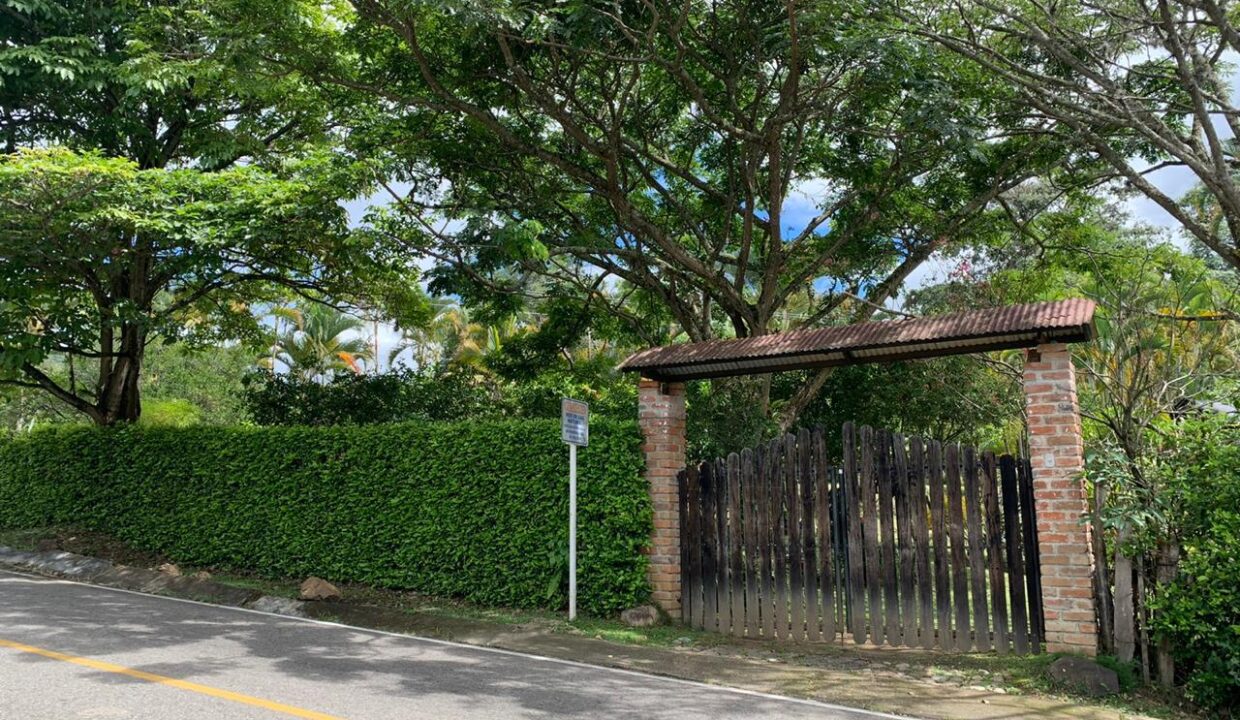 a50c82c5-1d73-4d30-adb9-d811971f482f