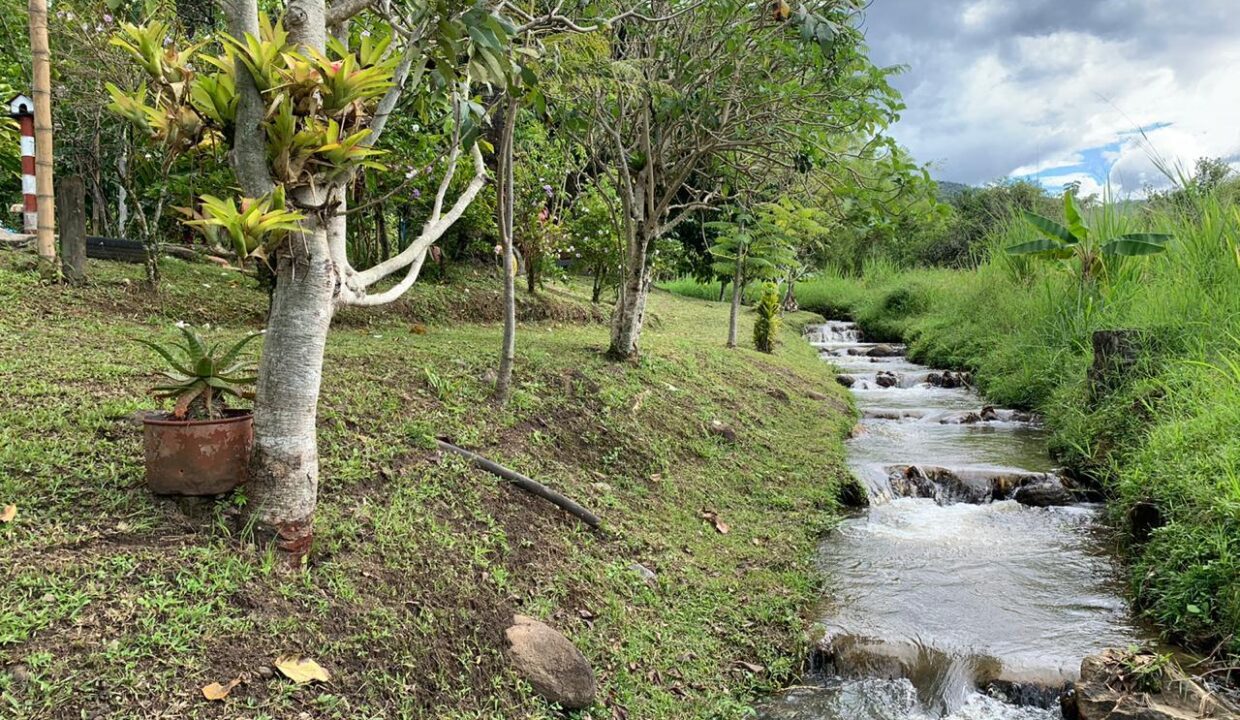 b5191223-f5a3-4d3a-a782-b44e0da33e36