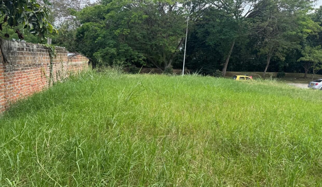 b9ca930f-4da7-46c3-a2d7-2b2cf589a242