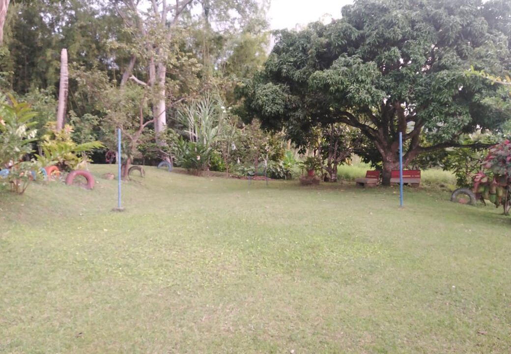 ed665662-c152-4b04-a874-47d794450701