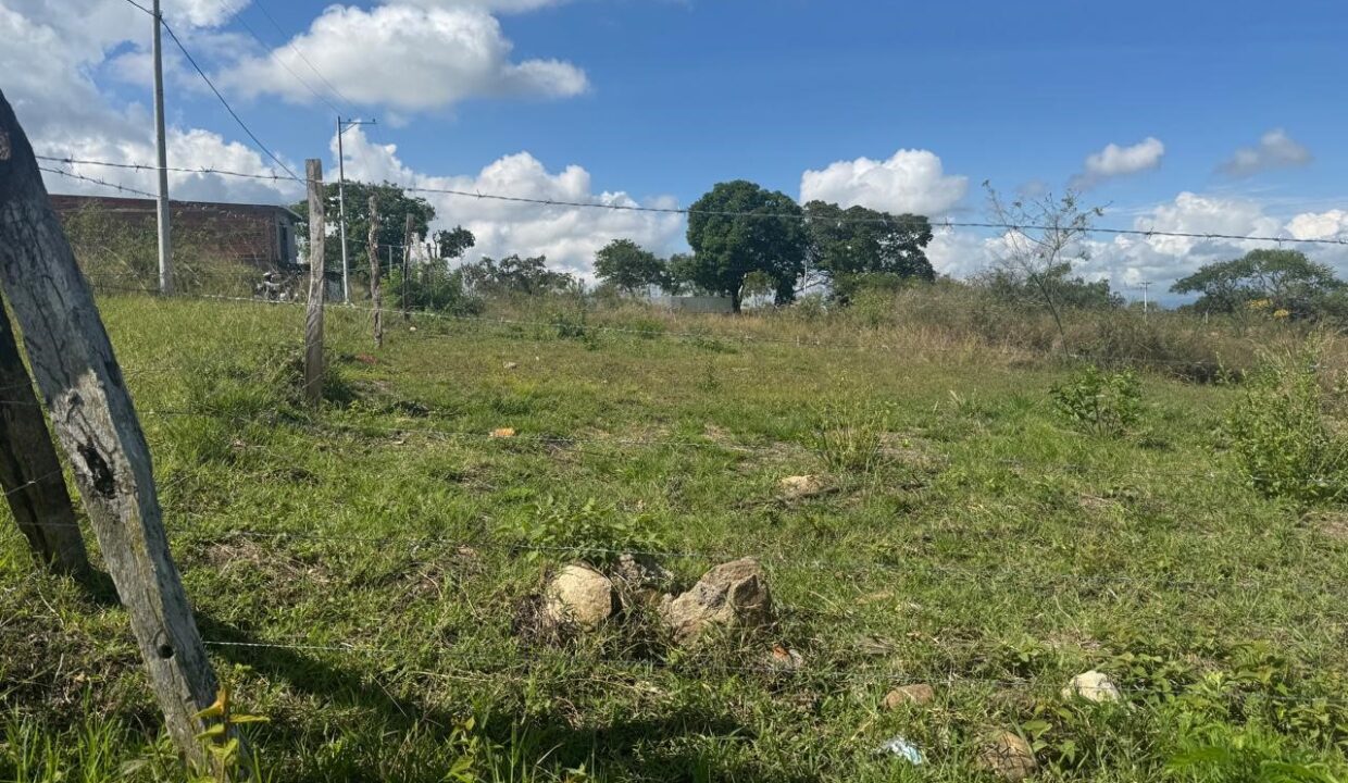 18d73448-0ac9-4b45-adbe-00f1acc2d37e