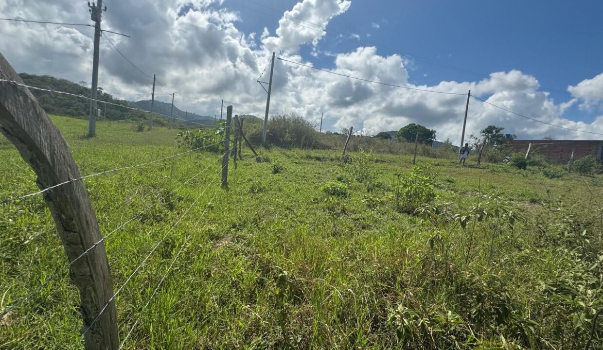 415ec969-6683-416b-9967-81e91f9db1d4