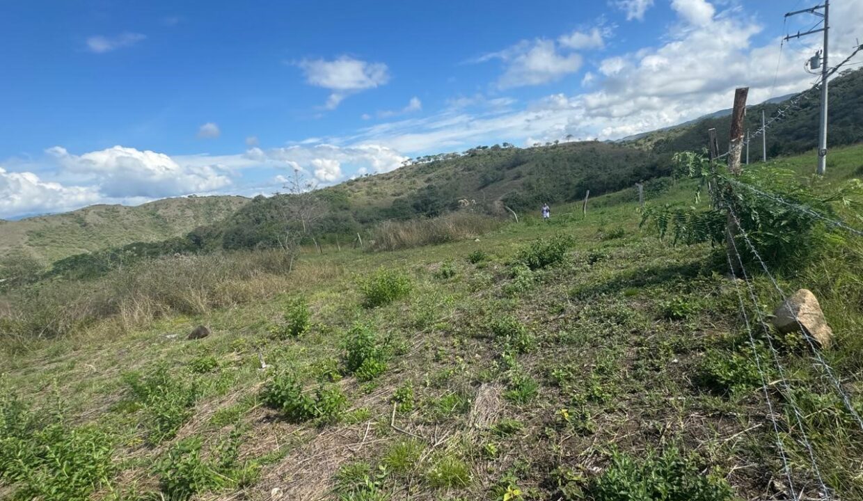 42dfe868-665b-43ce-ada9-41e24470cf55