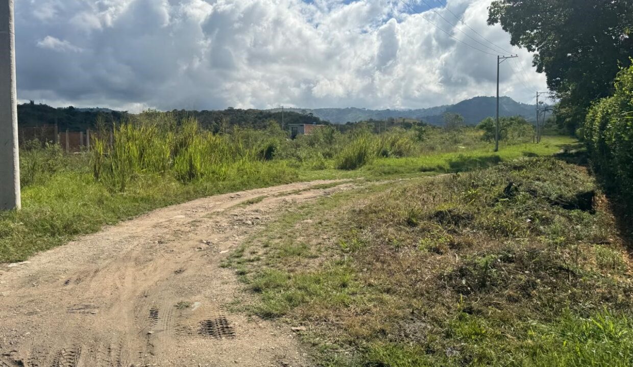 458b0fb2-01b5-4e6a-b51d-32fad7b2e3ae