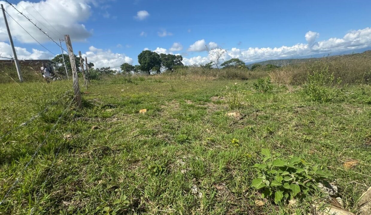 4d85f7b0-019c-4cfe-9a6a-9077773b6d77