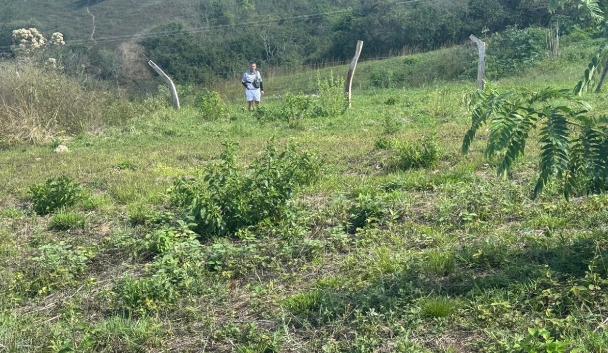 4dc64d05-a2bc-429b-af85-e288129828cc