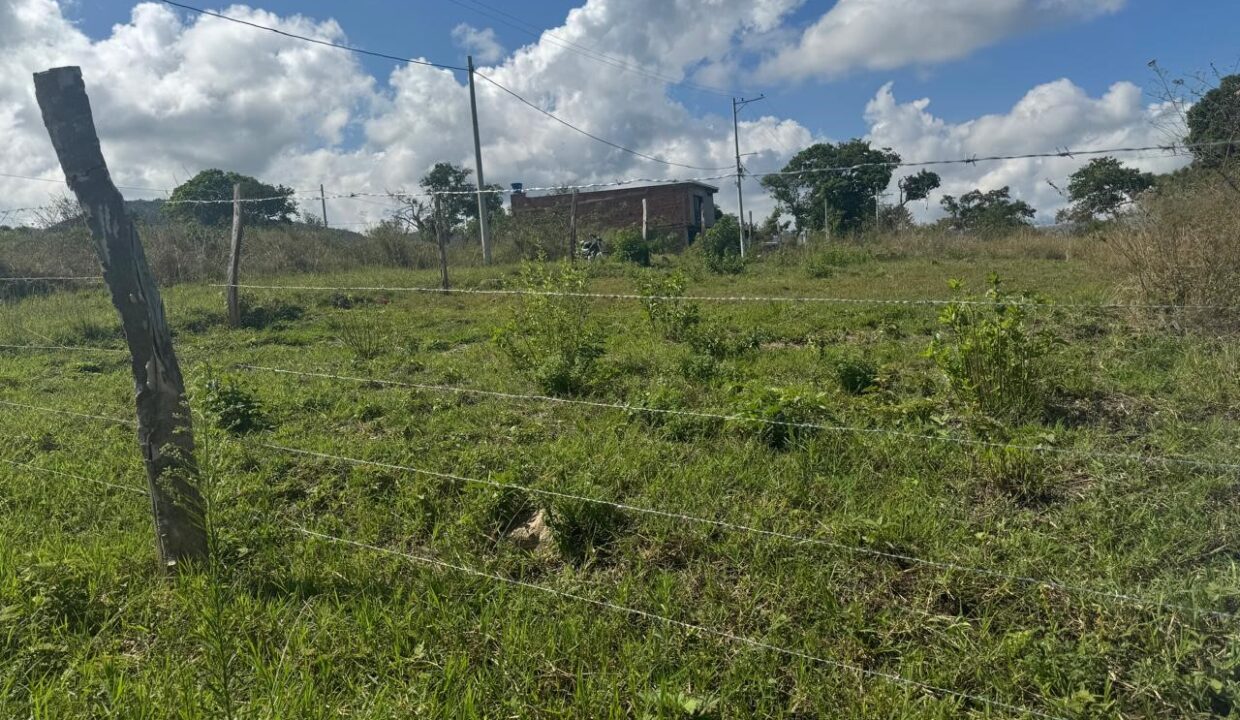 595d0267-bfcd-4875-8fc4-a7a90d73d226