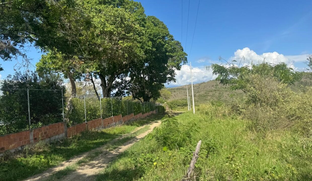 8a595c4b-3a7e-49bd-a55c-59f26691e3d9