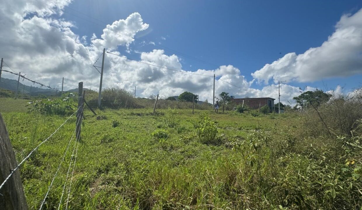 912badae-e19a-44dd-bb11-ff98275282ea