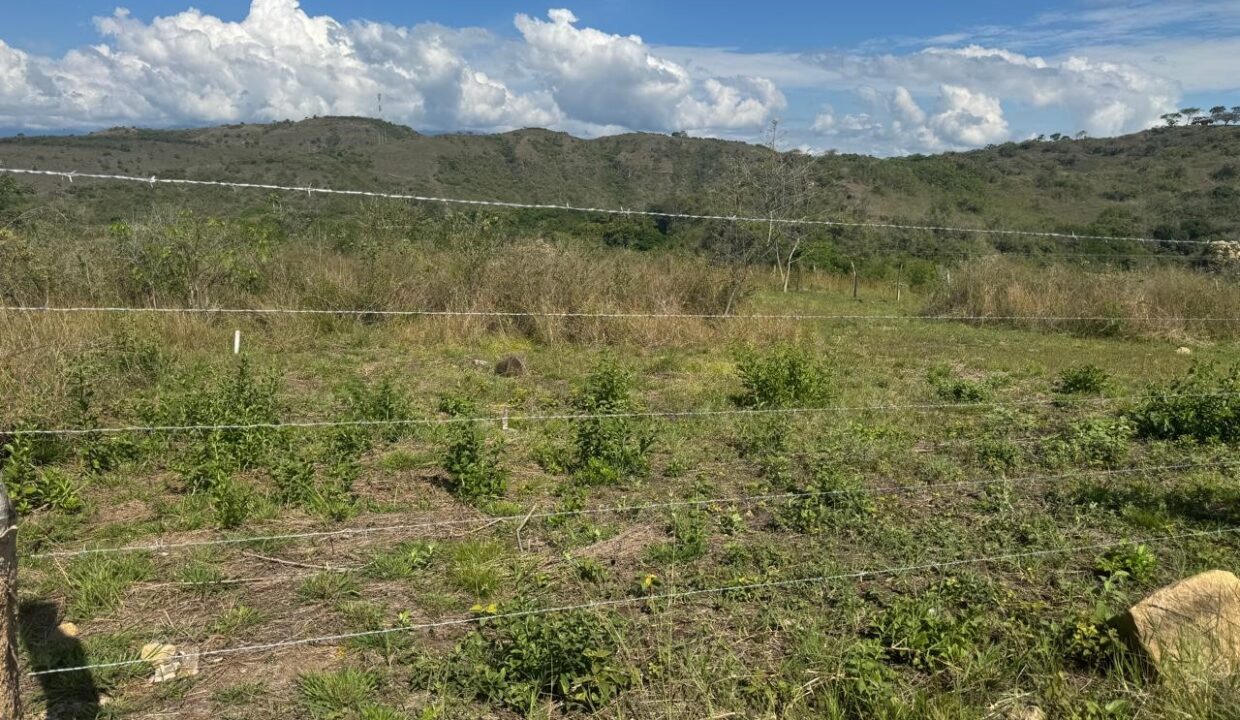 a470c340-5e52-4bba-9bb1-0dc1afae536f