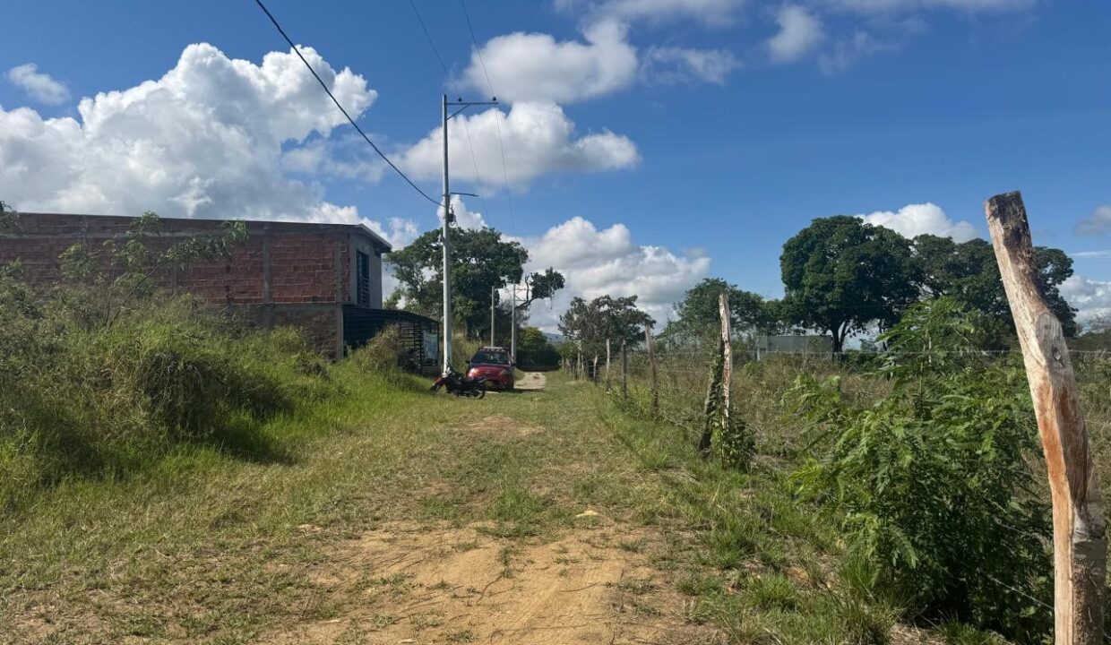 e82f028b-cdf3-4af4-9a41-1f1a473168b7