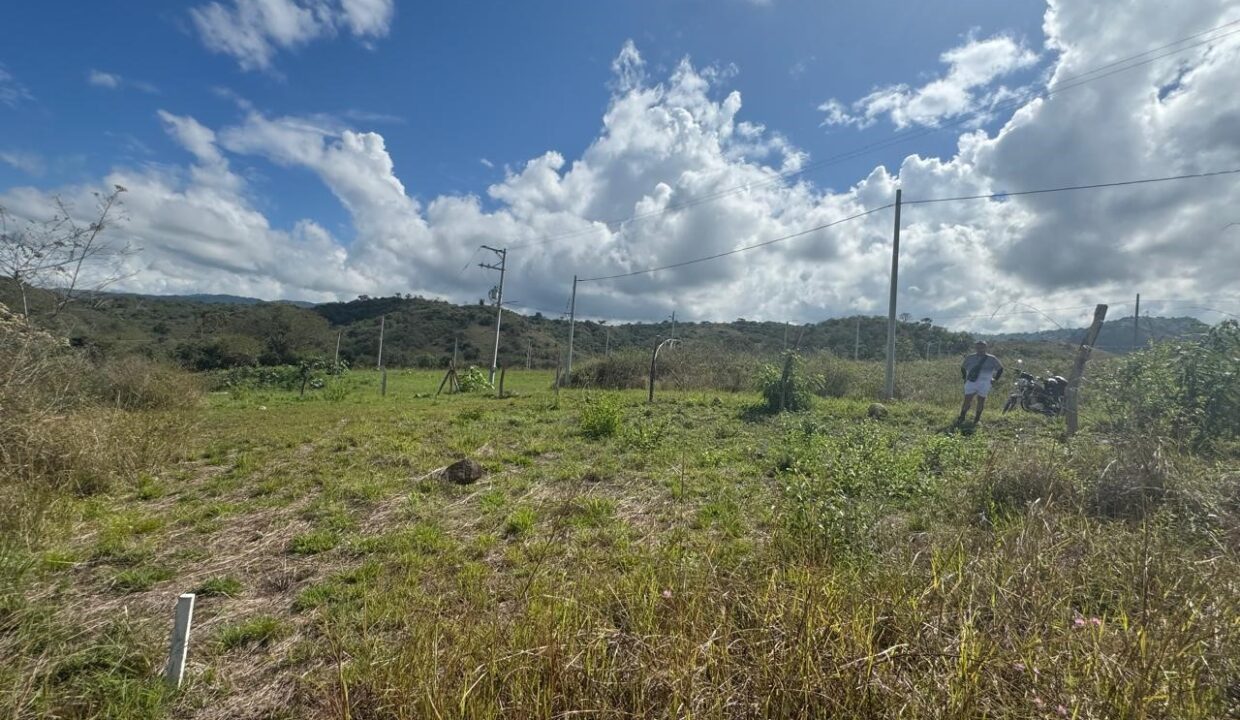 f3f36fe0-4b56-4b26-a329-3ffd0efa5dfe