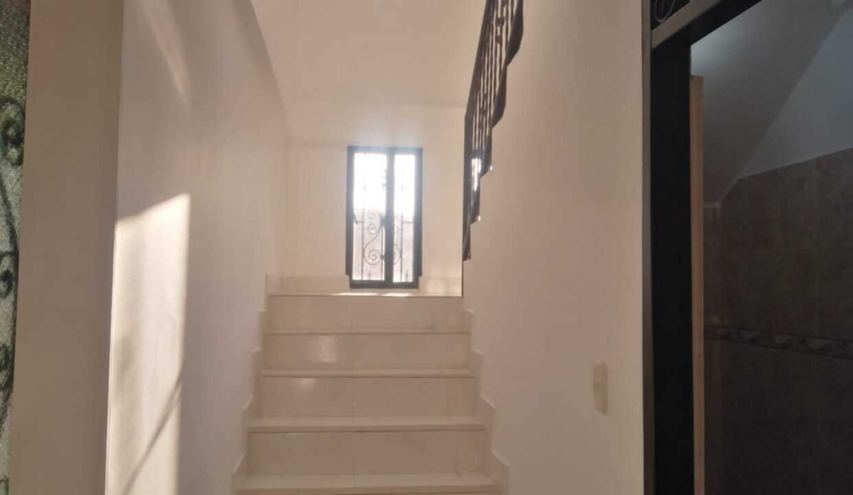 1ad84528-96b5-42ed-967e-03ac4b4860ee