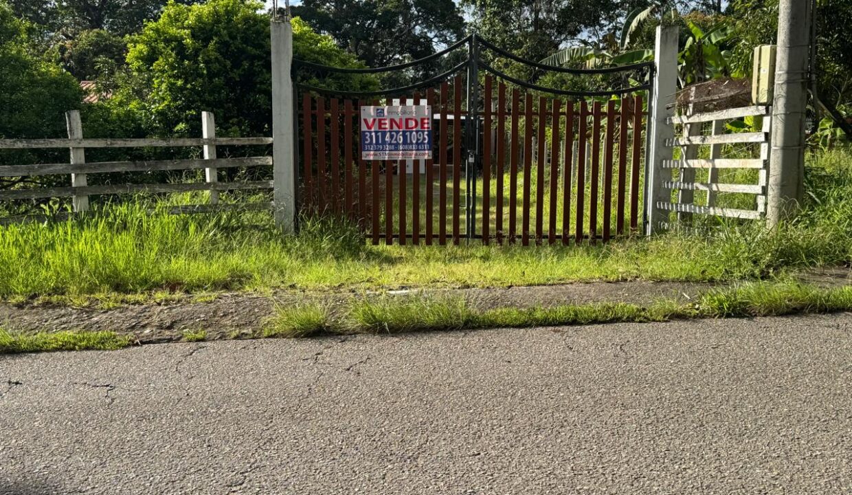 92f02478-b676-46f4-adc2-498dcbaa68cd