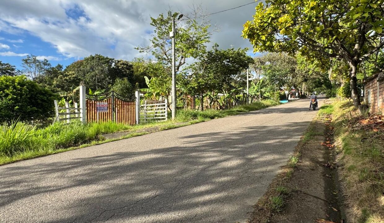 df0b5b3a-e3a9-48ed-9c48-6c3478b18b35