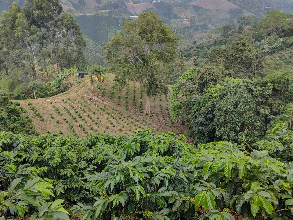 2707574f-3fed-4264-8960-afca3448bf96