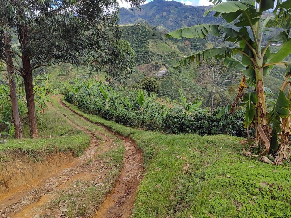 7e5305d2-3932-4057-bbcb-3f6cb10ec3af