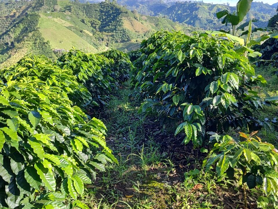 c6463503-6388-4866-b103-7a478c52fa50