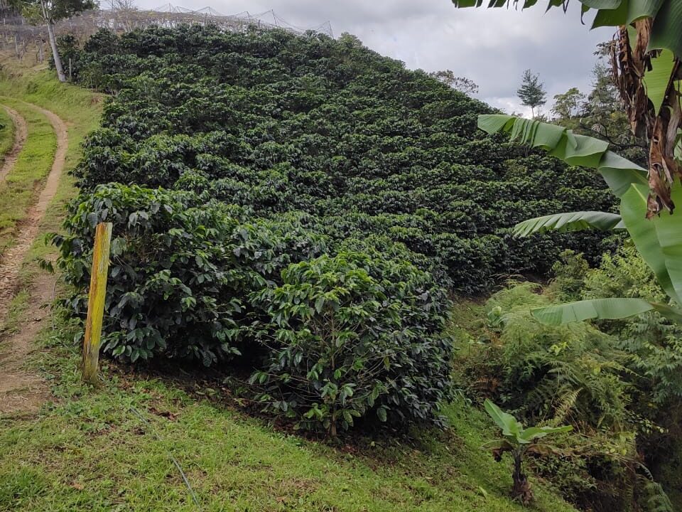 d481cd62-6193-455b-b197-376ac66d0226