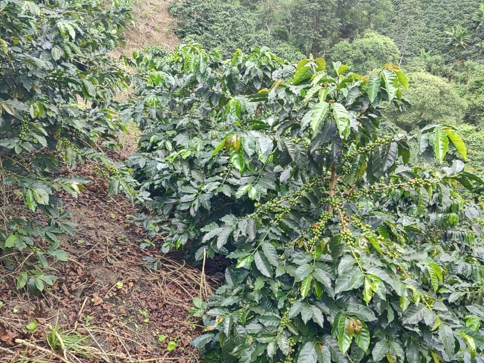 e45aaca4-39fb-4b4c-90ab-39755142f242