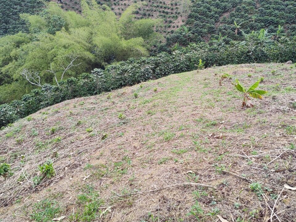 ef744bef-414b-4c8c-9d00-df5b4cb2c3a2