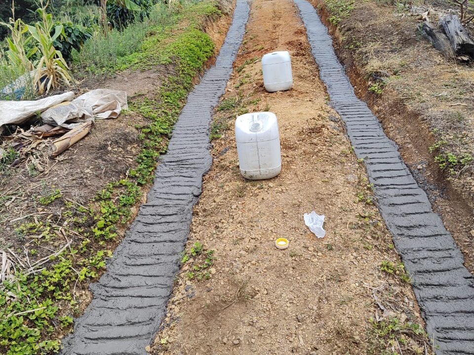 faf9634f-aca0-4b8d-aa2b-4583a1a83081