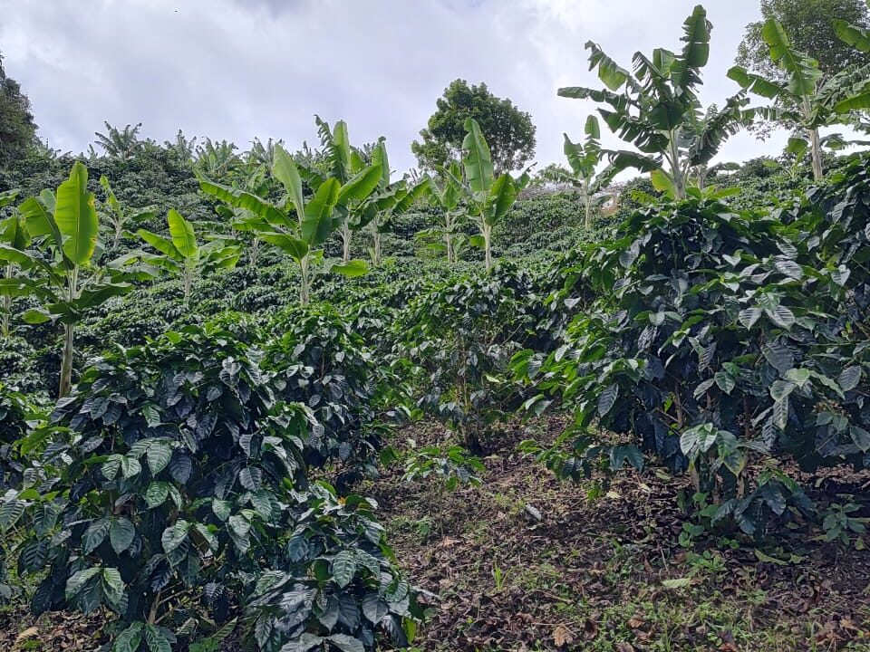 fe08bdc4-097a-4fb5-b8ad-6b6c1ddcc956