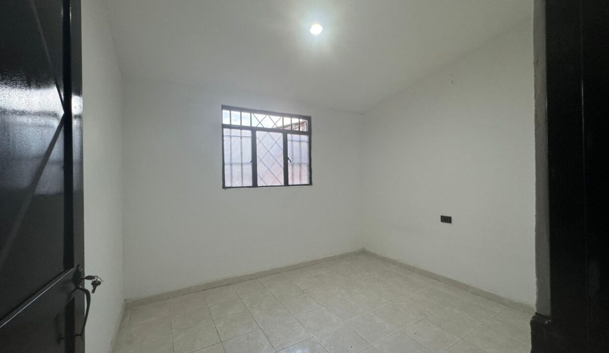 53e63cc4-2ea5-4c74-8ab9-9ccac5b377e5