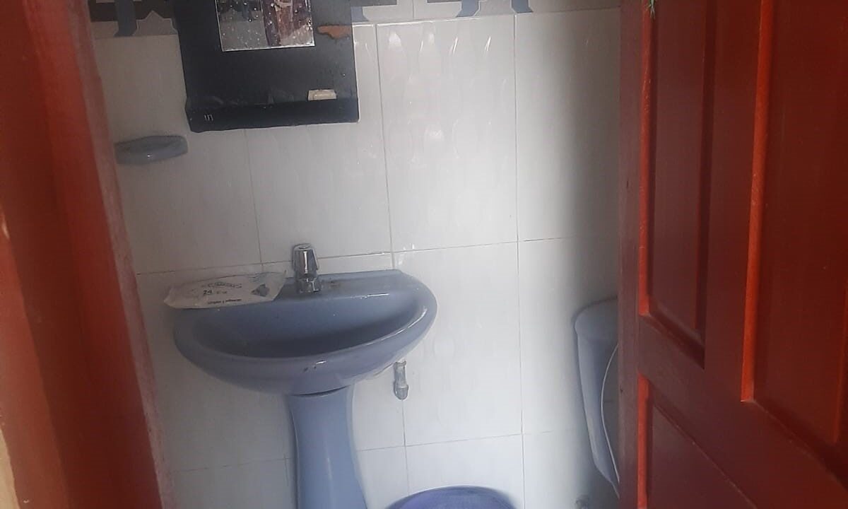 54e832f5-a032-40b7-87a4-6a764e0694a0