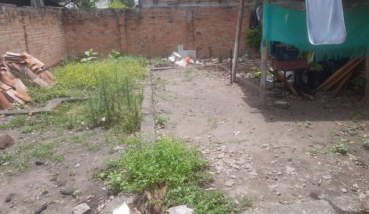 d05c48cb-c637-407c-8dff-a2cb1899c0ca