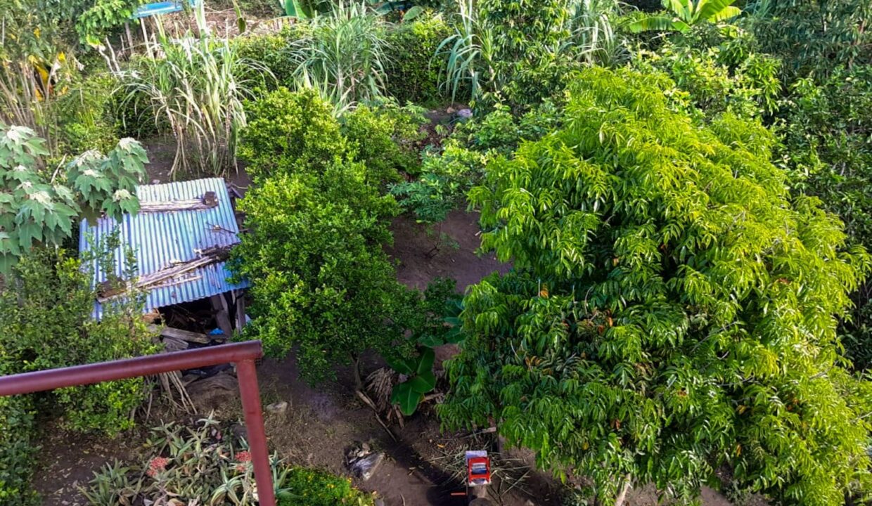 1c76ae2f-741a-4ee9-a37d-266543249df9