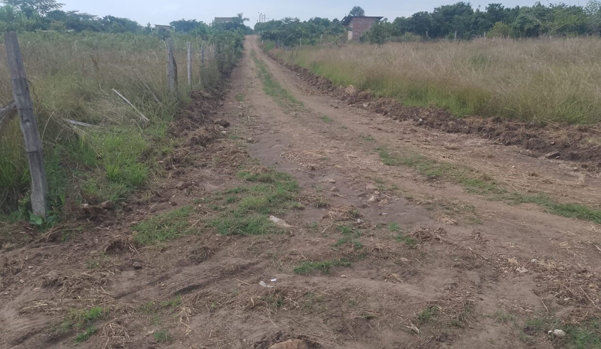 277f6cbc-717e-4e57-9288-e077c2d669d1