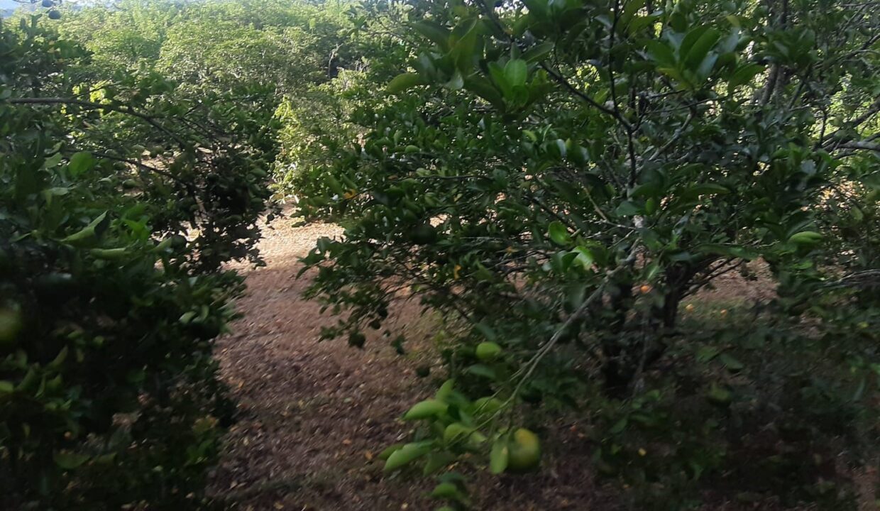 399f3d15-a864-4c79-9128-b974ba828a78