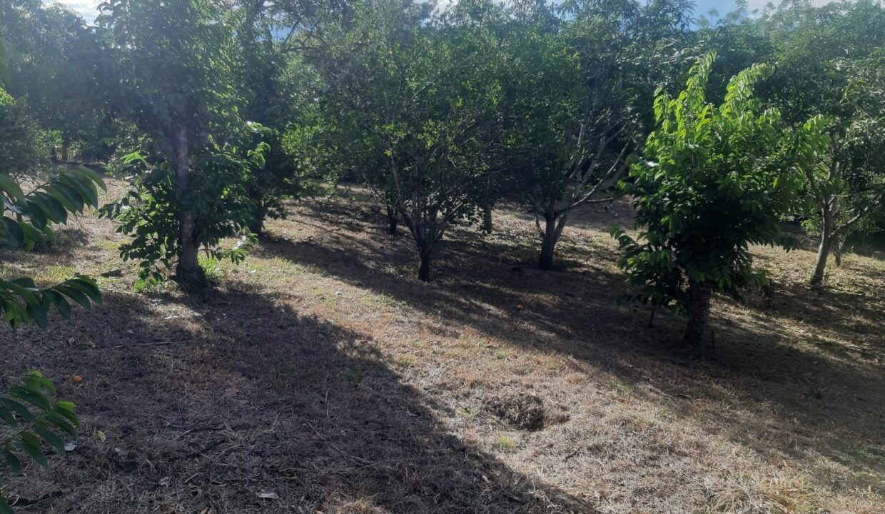 56733f3f-c93b-448d-bbcc-6f0b96716833