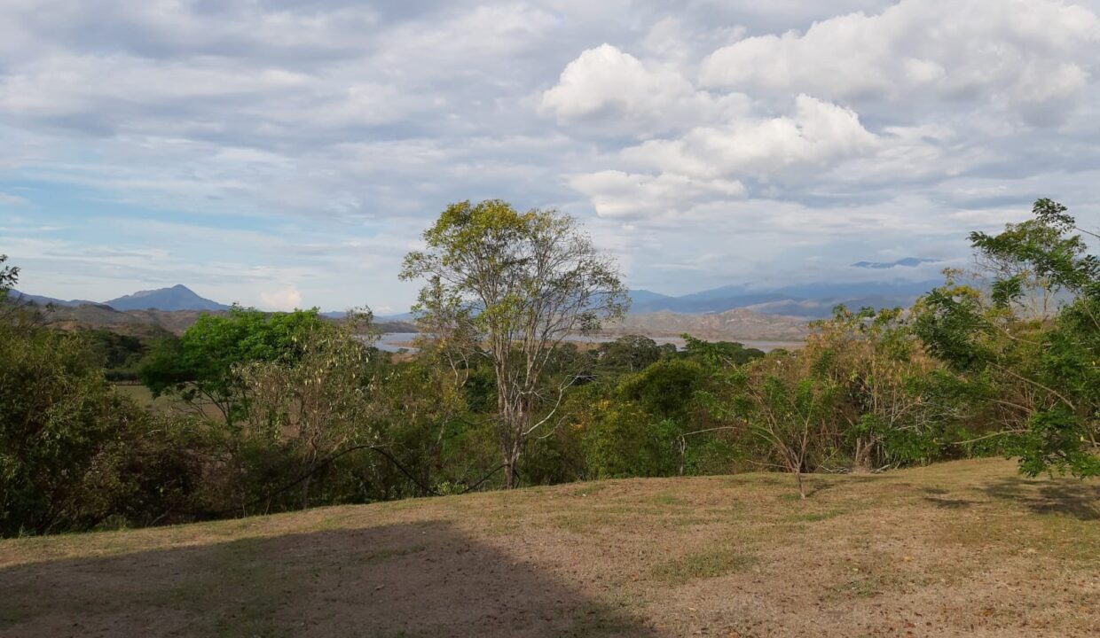 85991b38-fa25-4232-bdd9-8bbfbe4070c5