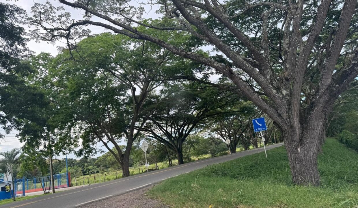 a87fda51-8990-487d-b918-95402cc6e288