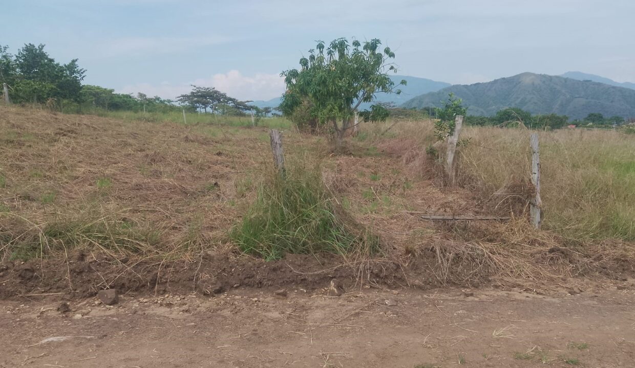 b8a690c3-18cf-440f-a188-bdd4d92047fb