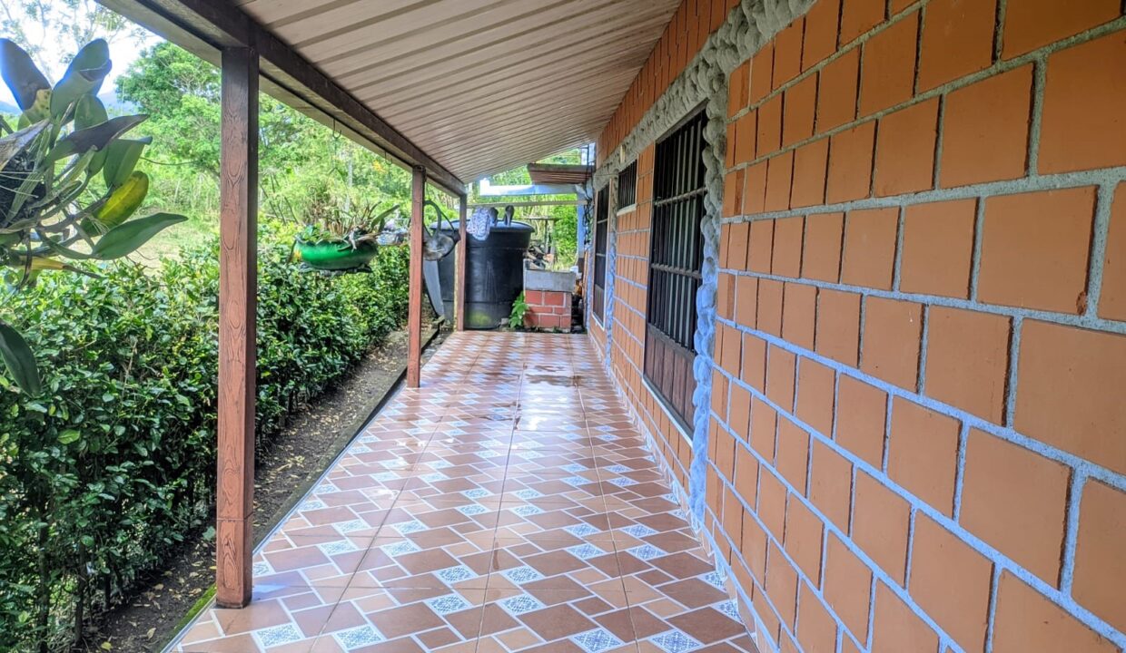 d845e07a-5d16-4ccd-920e-027b875ac55f