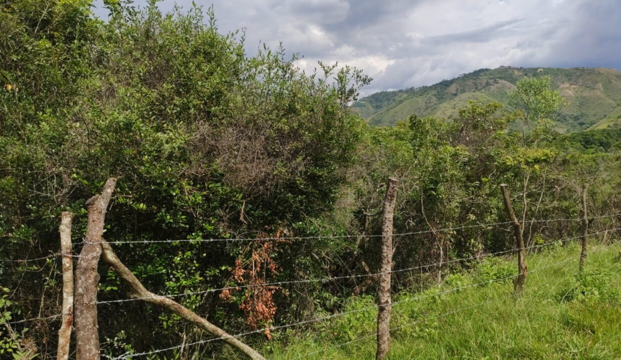 060e1f32-5c32-40f3-b89e-55ae86f366e6