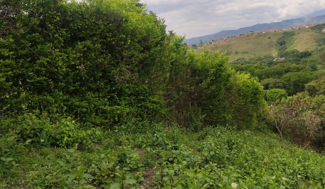 0ae7b889-a864-4a68-955f-fed018d6fe66