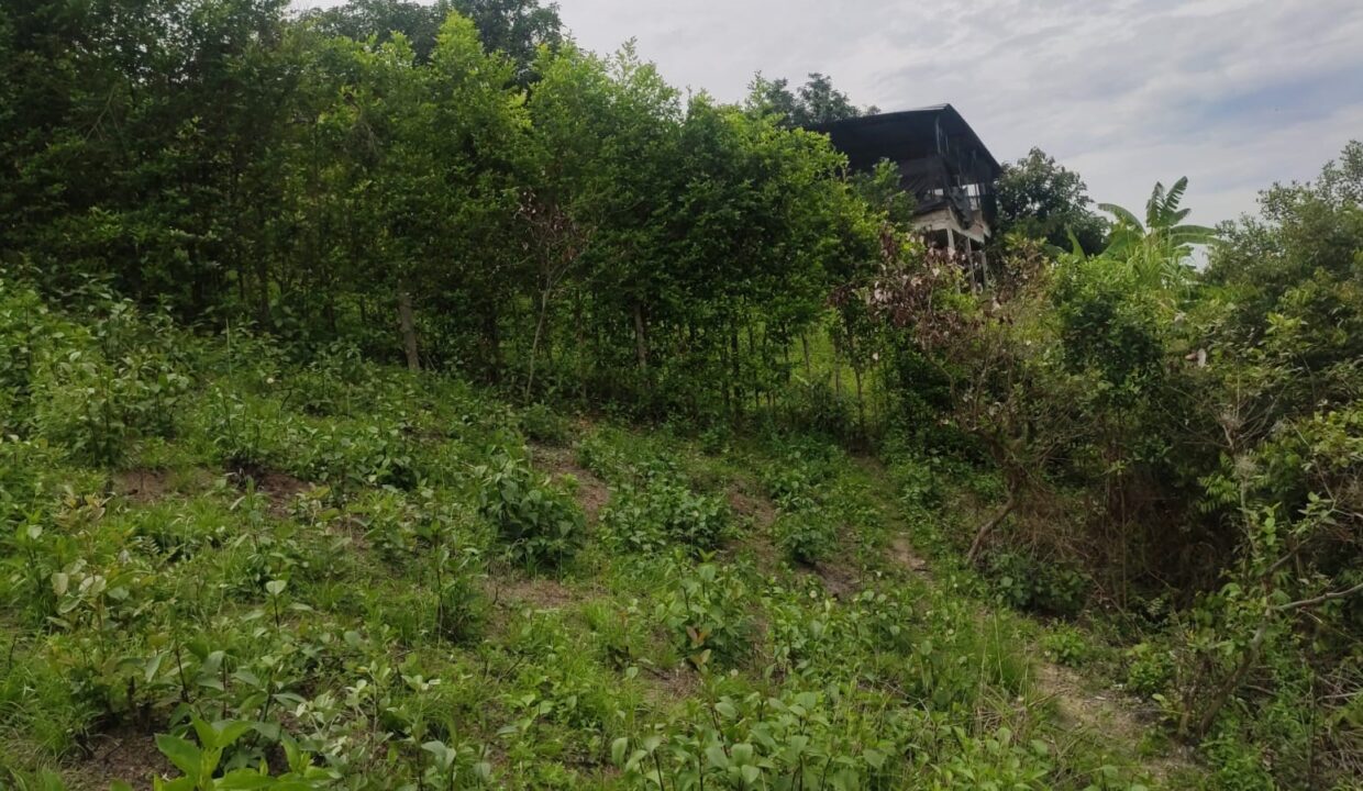 23b74b1f-34a4-4c0d-b56c-cc125c5b0d02