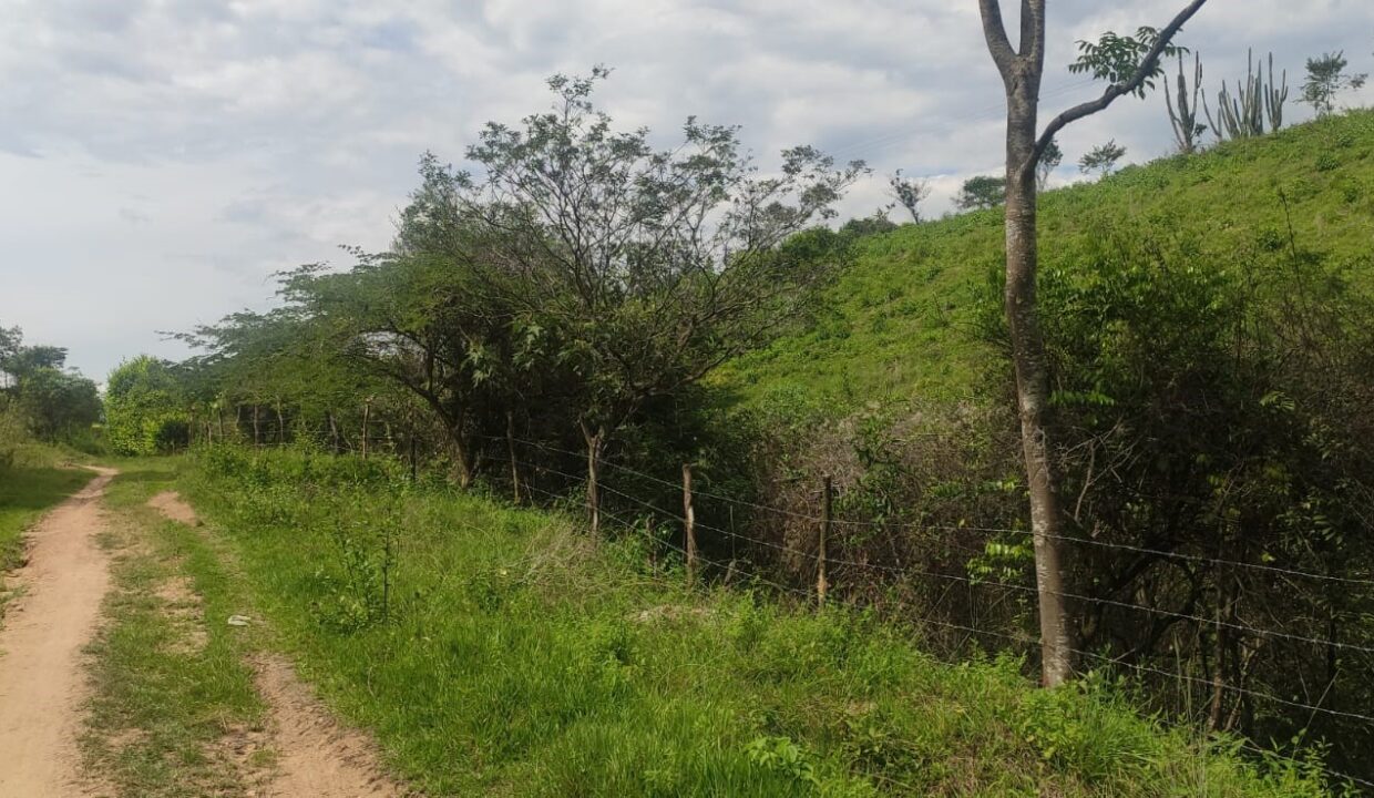 2cdd8edc-c105-4760-94b5-48d7c17a8f0d