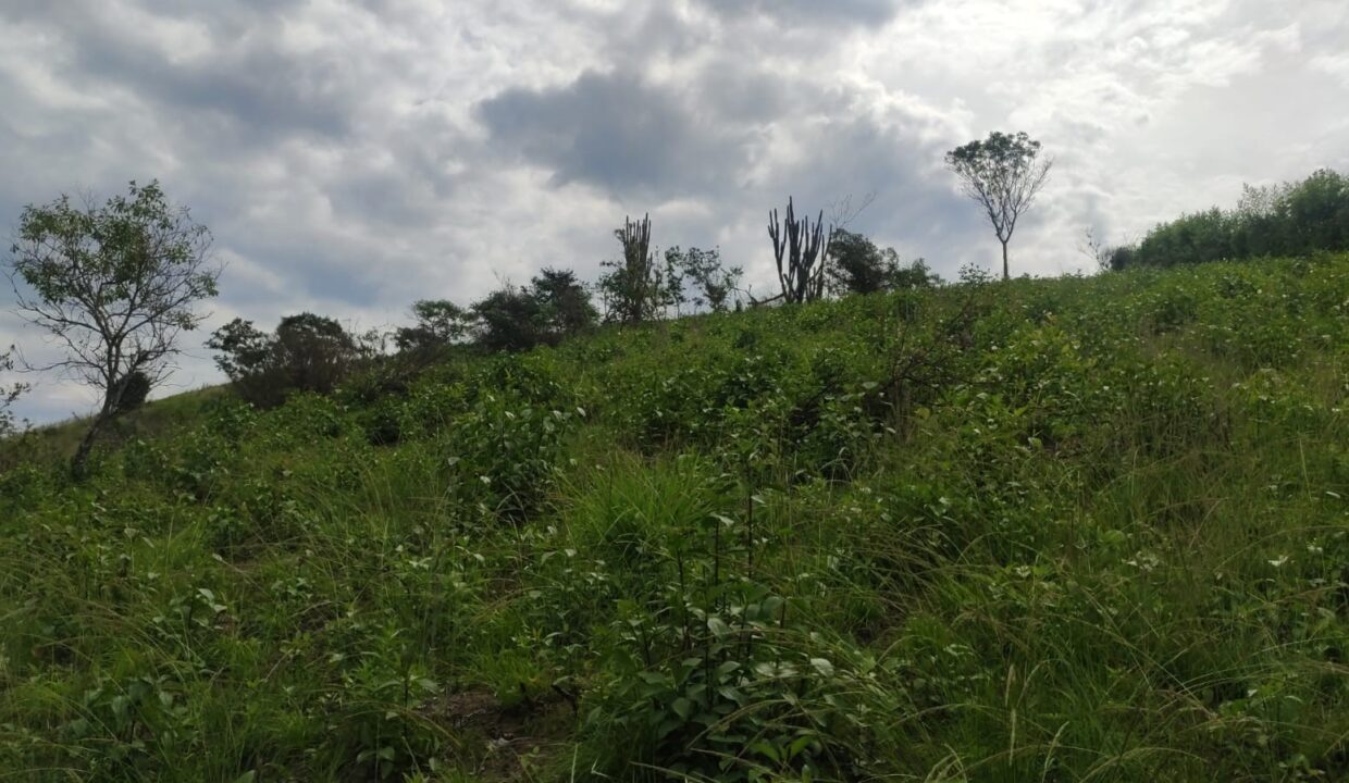 4bef0a50-4c7b-4169-be68-c2122dddd318